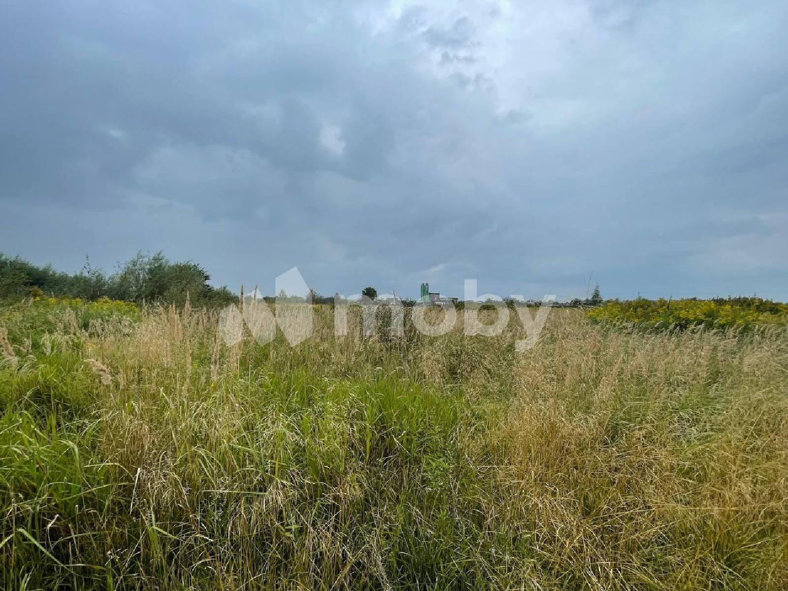 Фото: 8bbabdb3-3a16-40f2-a93a-789481d0fa07.jpeg