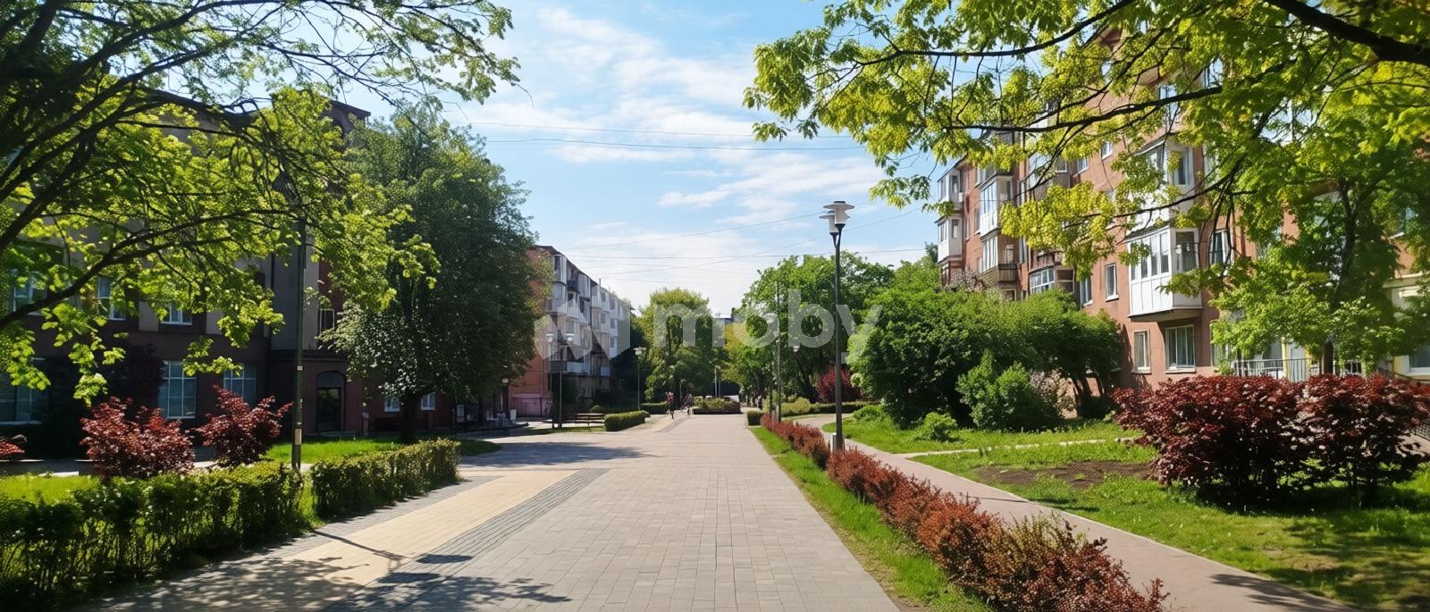 Фото: 8bf85913-33d0-4f98-90b3-06c7c8bf2222.jpg
