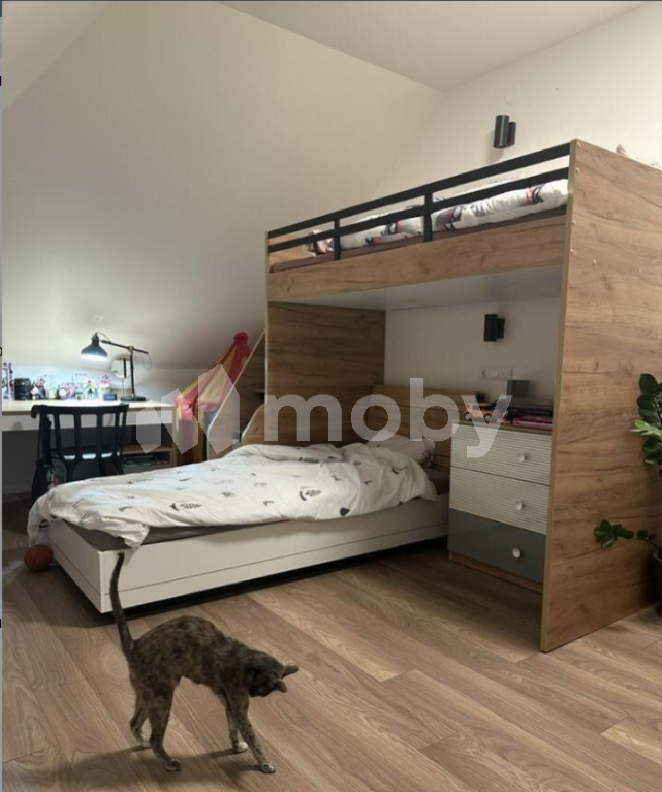 Фото: 8c15054d-869f-4a7b-949f-96957f52c548.png