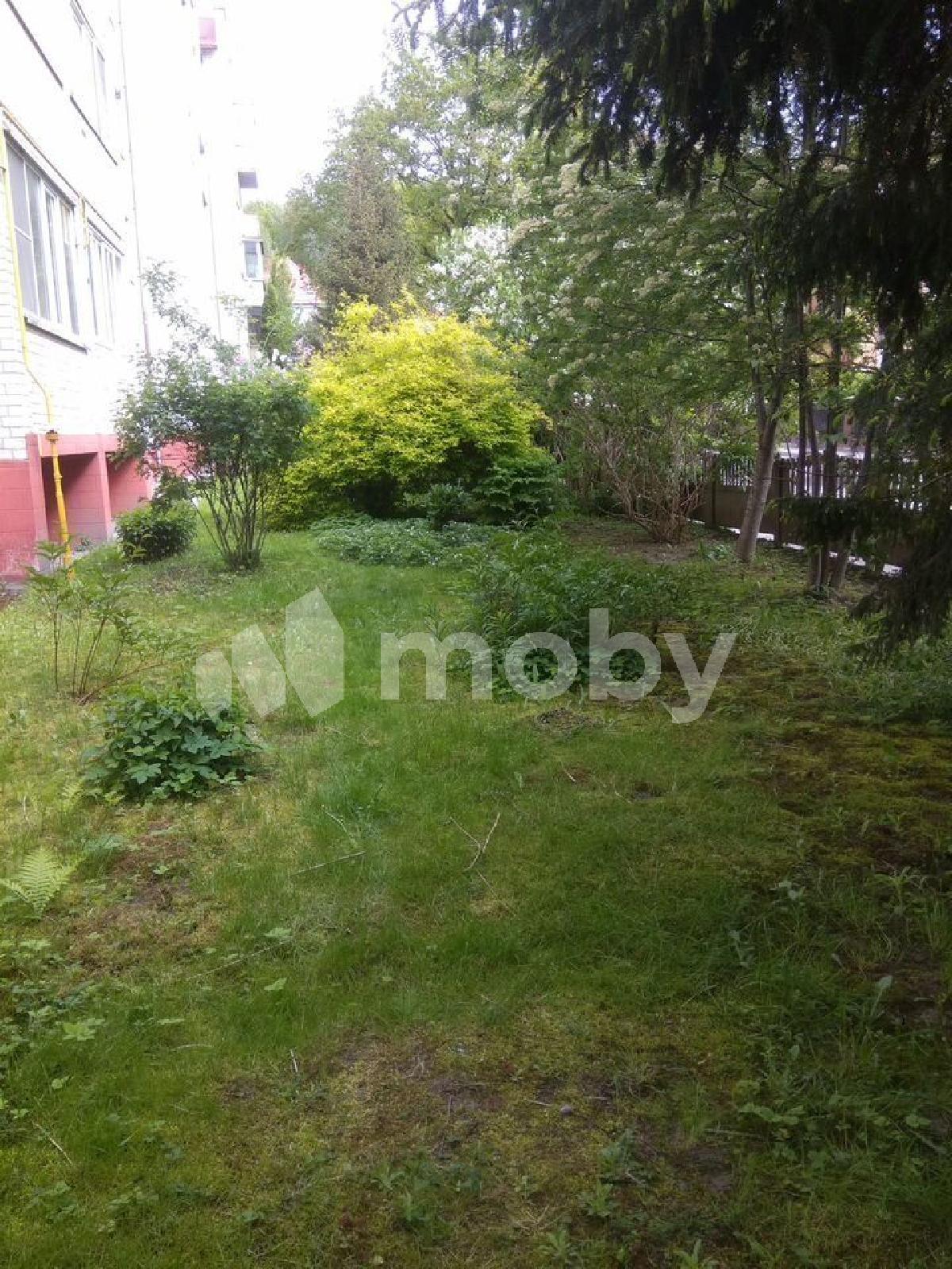 Фото: 8c9a80cc-f7a3-4d81-b0c0-5993d8a149f6.jpg