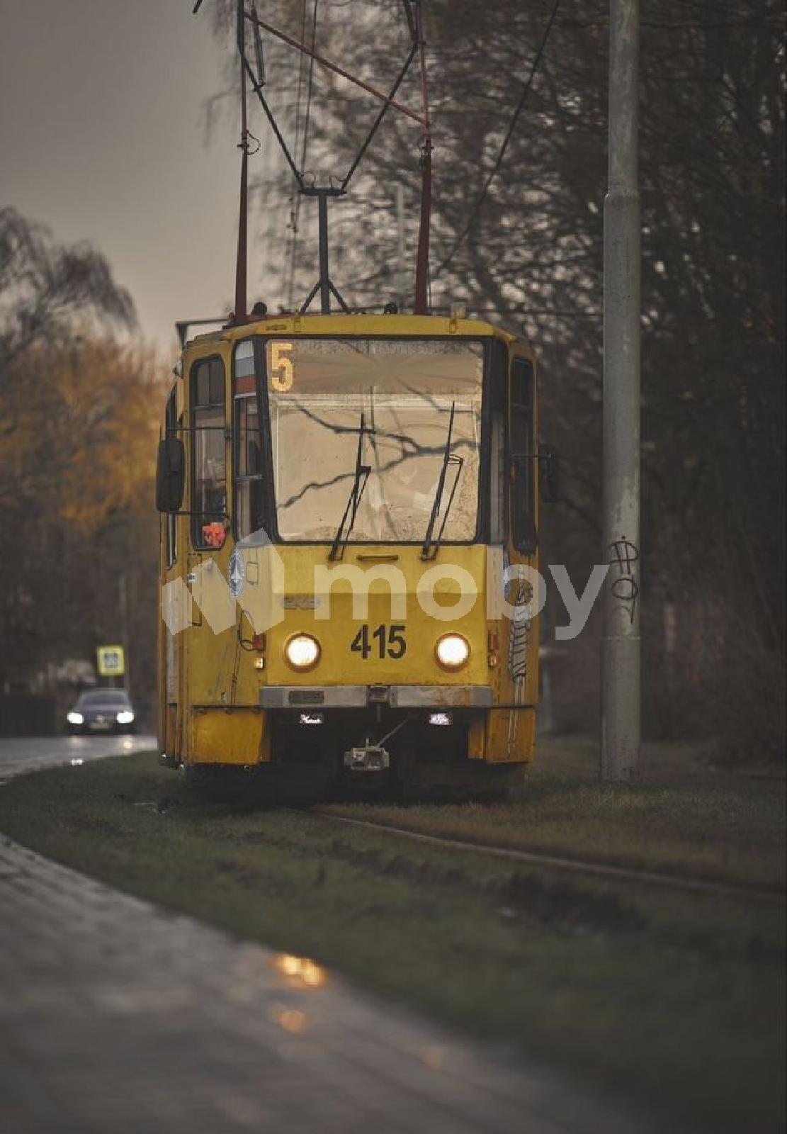Фото: 8d30becb-bca0-4d19-8b65-3193920bbe8f.jpg