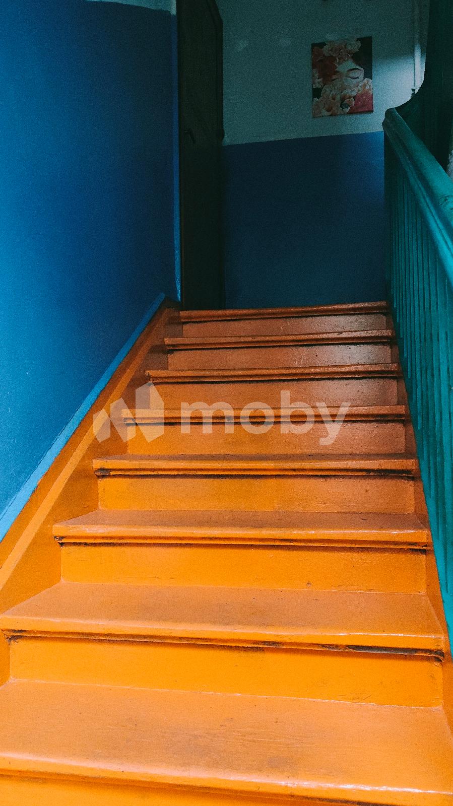 Фото: 8d787245-40db-4e25-b7ba-83b4d61d785e.jpg