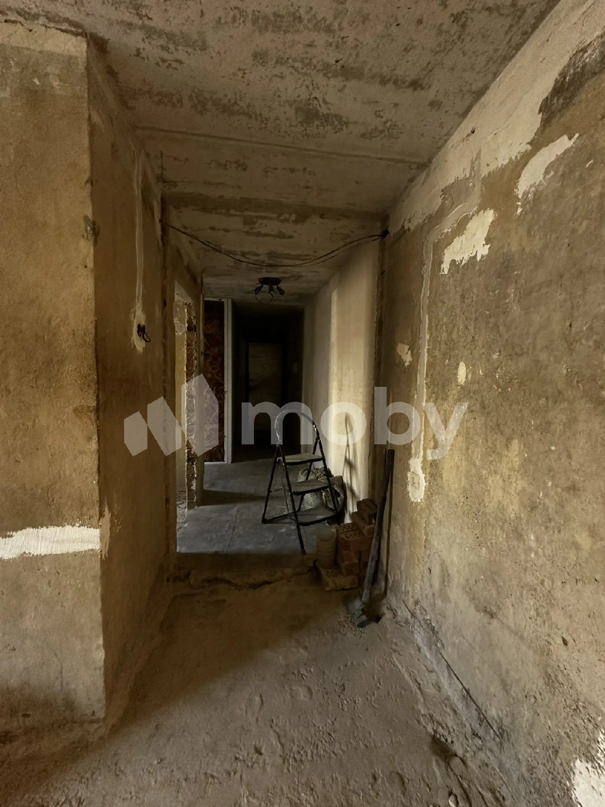 Фото: 8f06495c-4b2e-42e6-8f3b-6f70a8c711fd.png