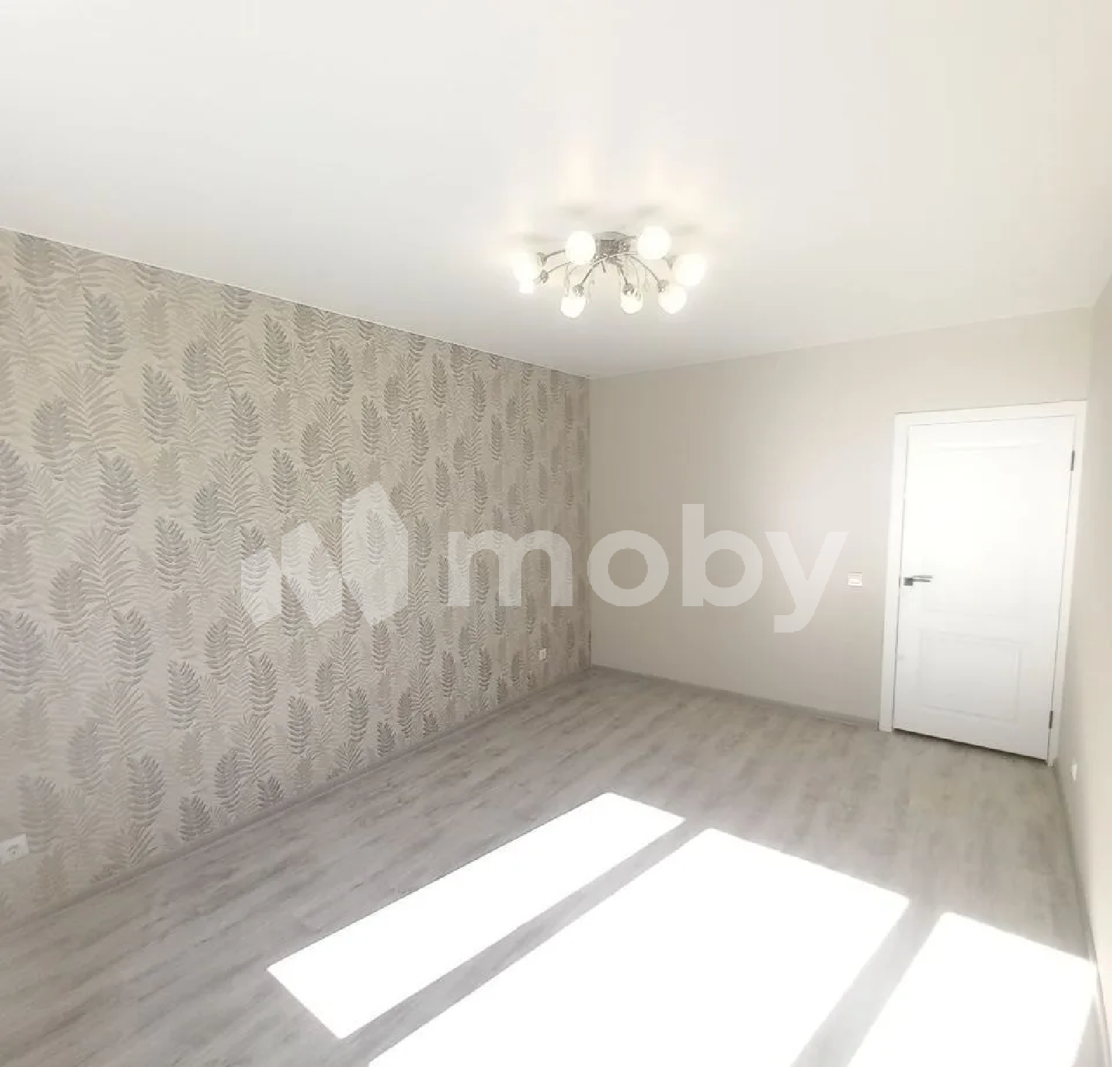 Фото: 8f6bc75f-99e1-4f44-9f57-c4355eadb650.png