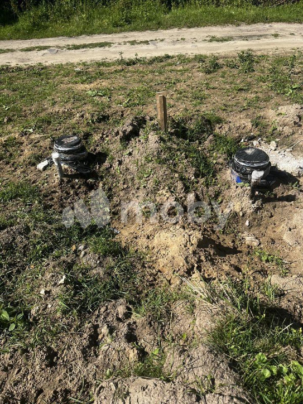 Фото: 8f71696d-ae70-4378-906f-4c12f89719a4.jpg