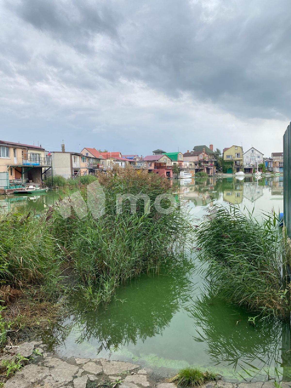 Фото: 8fc12a27-65ba-4072-b0df-c4f9de77e86f.jpg