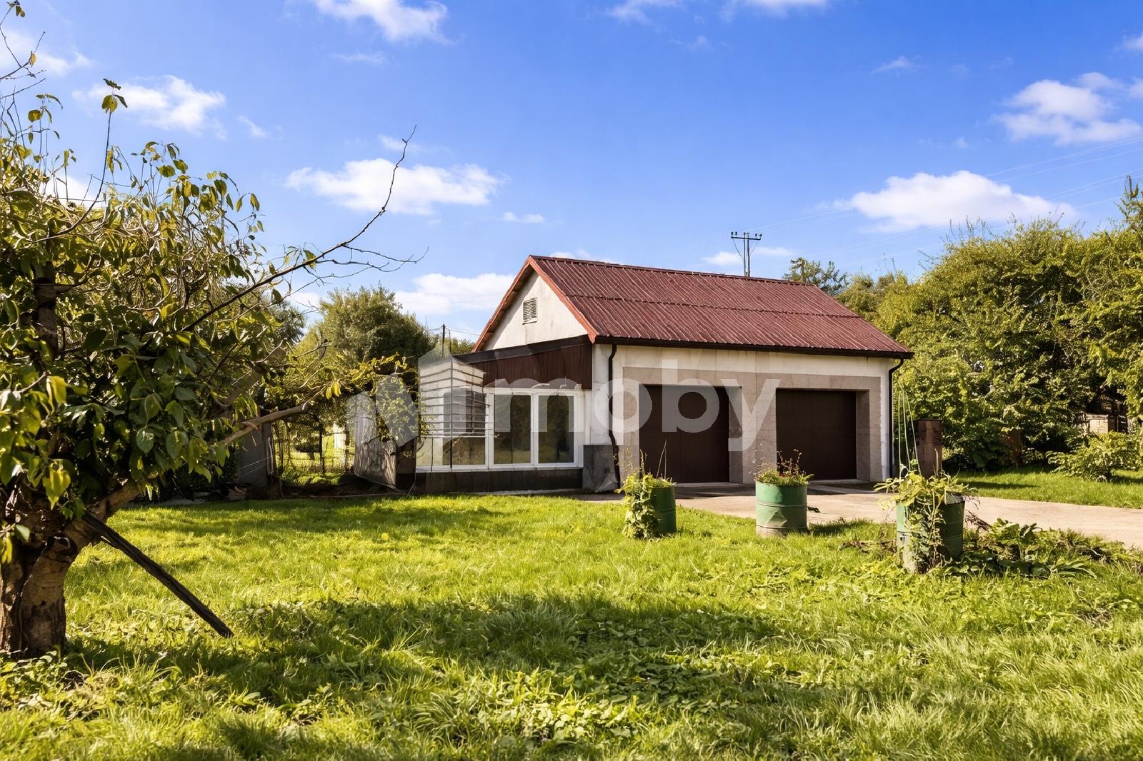 Фото: 902454a4-4210-4fee-a0d5-d578670bc2d4.jpeg