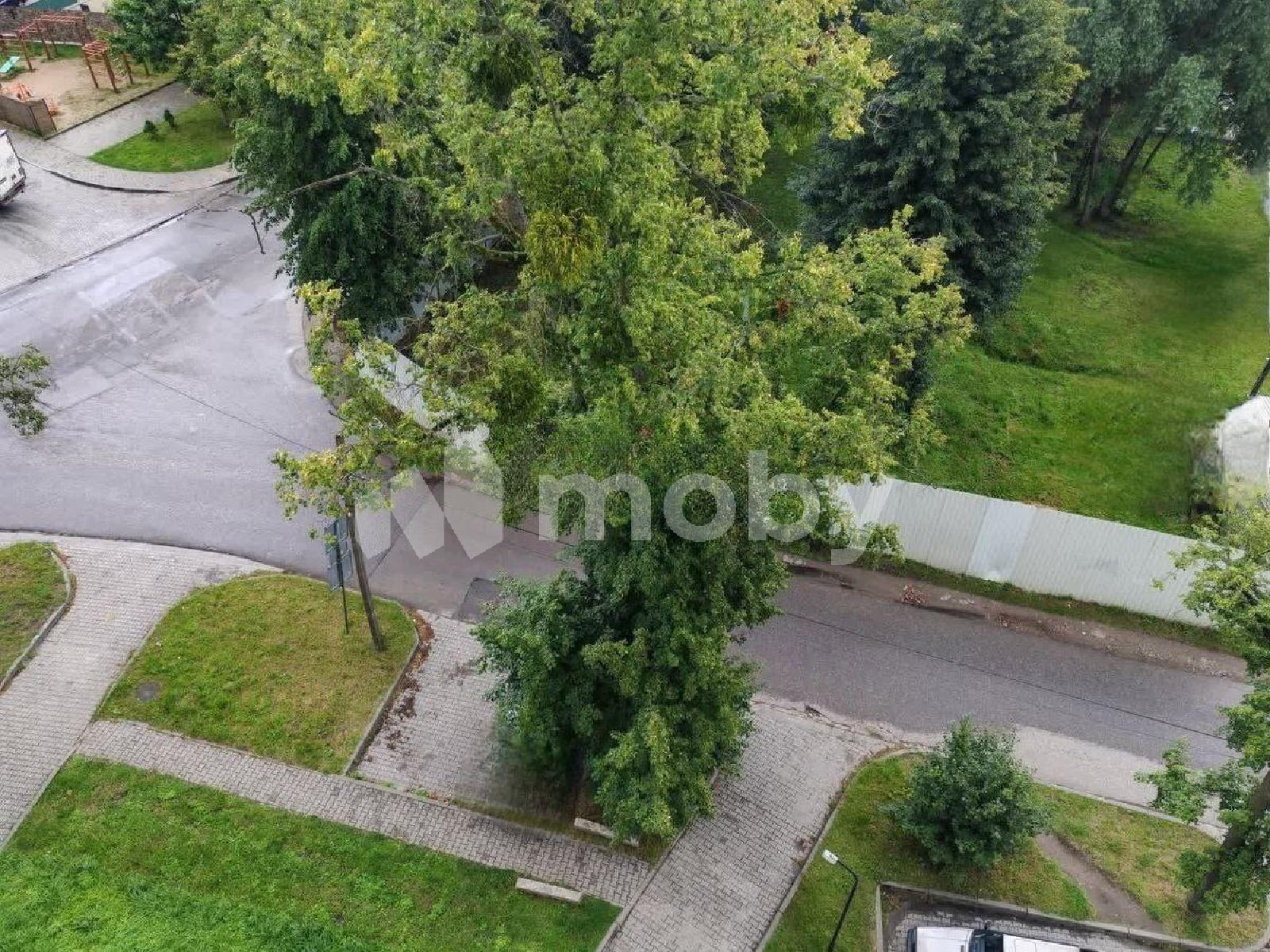 Фото: 917e7857-86cd-4711-896a-73a53f70c546.jpg