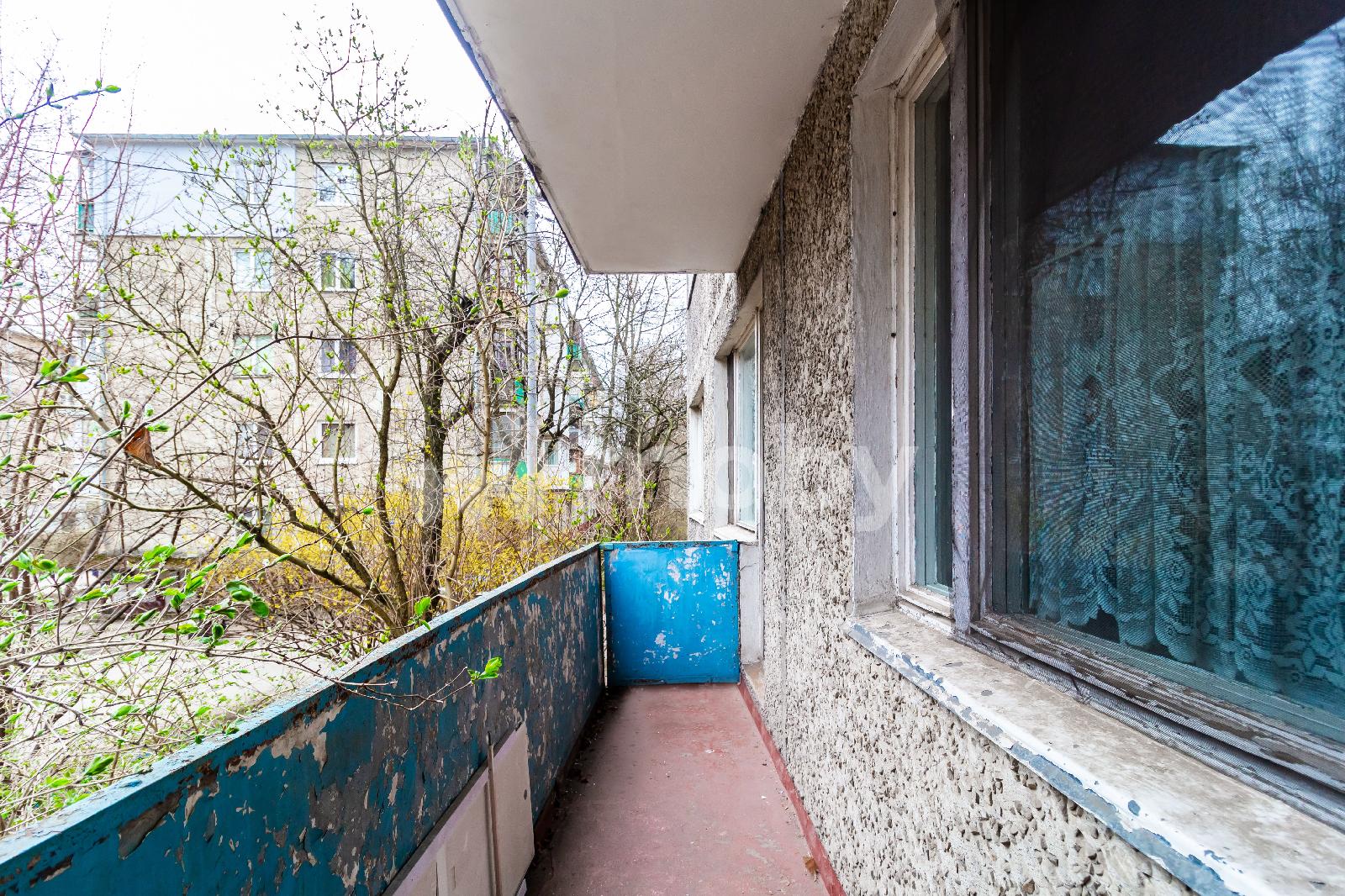 Фото: 91cddf2d-b9e4-40e9-8c16-b167beabc8b9.jpg