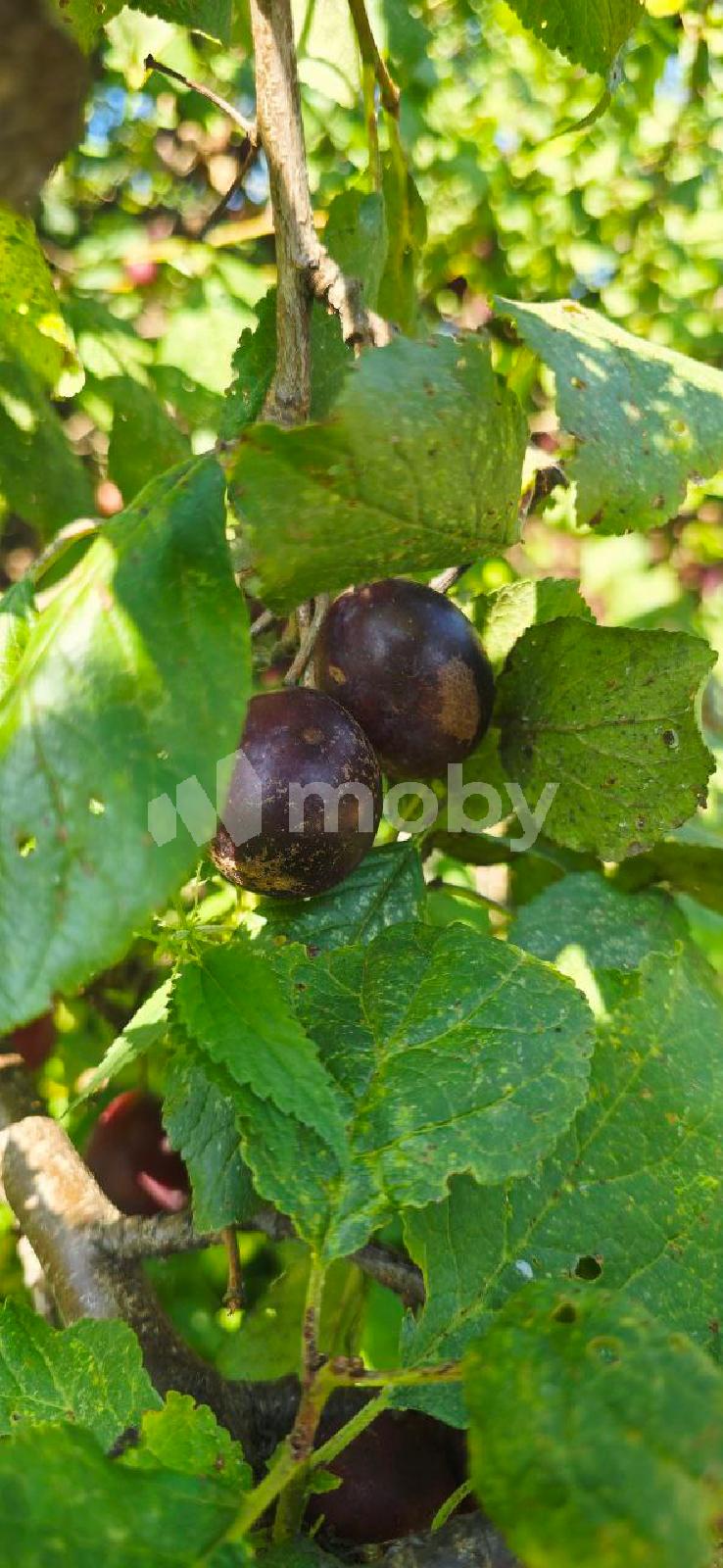 Фото: 92892c0d-69f1-4d24-b50a-838efb6c0030.jpg