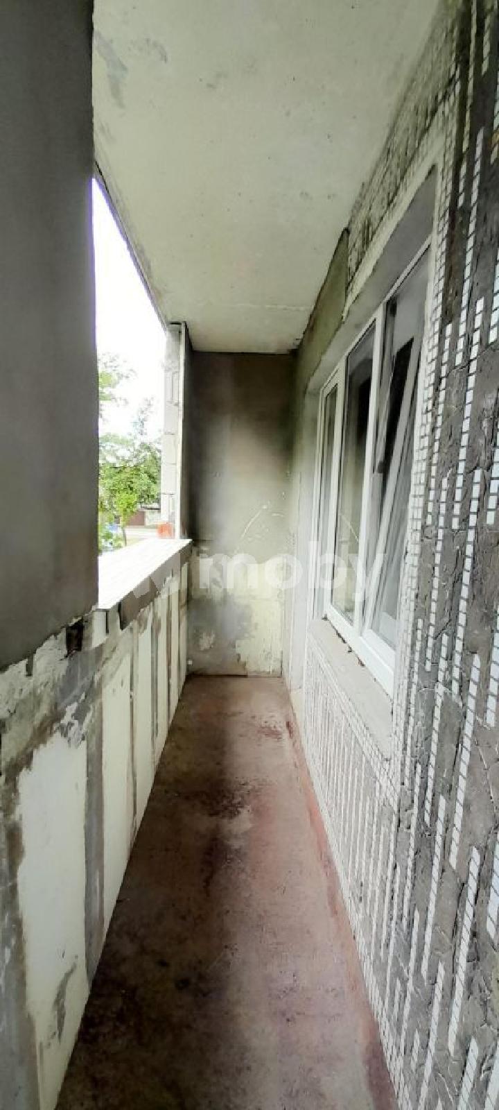 Фото: 935ef088-6b42-4d73-9eee-dea887ce0735.jpg