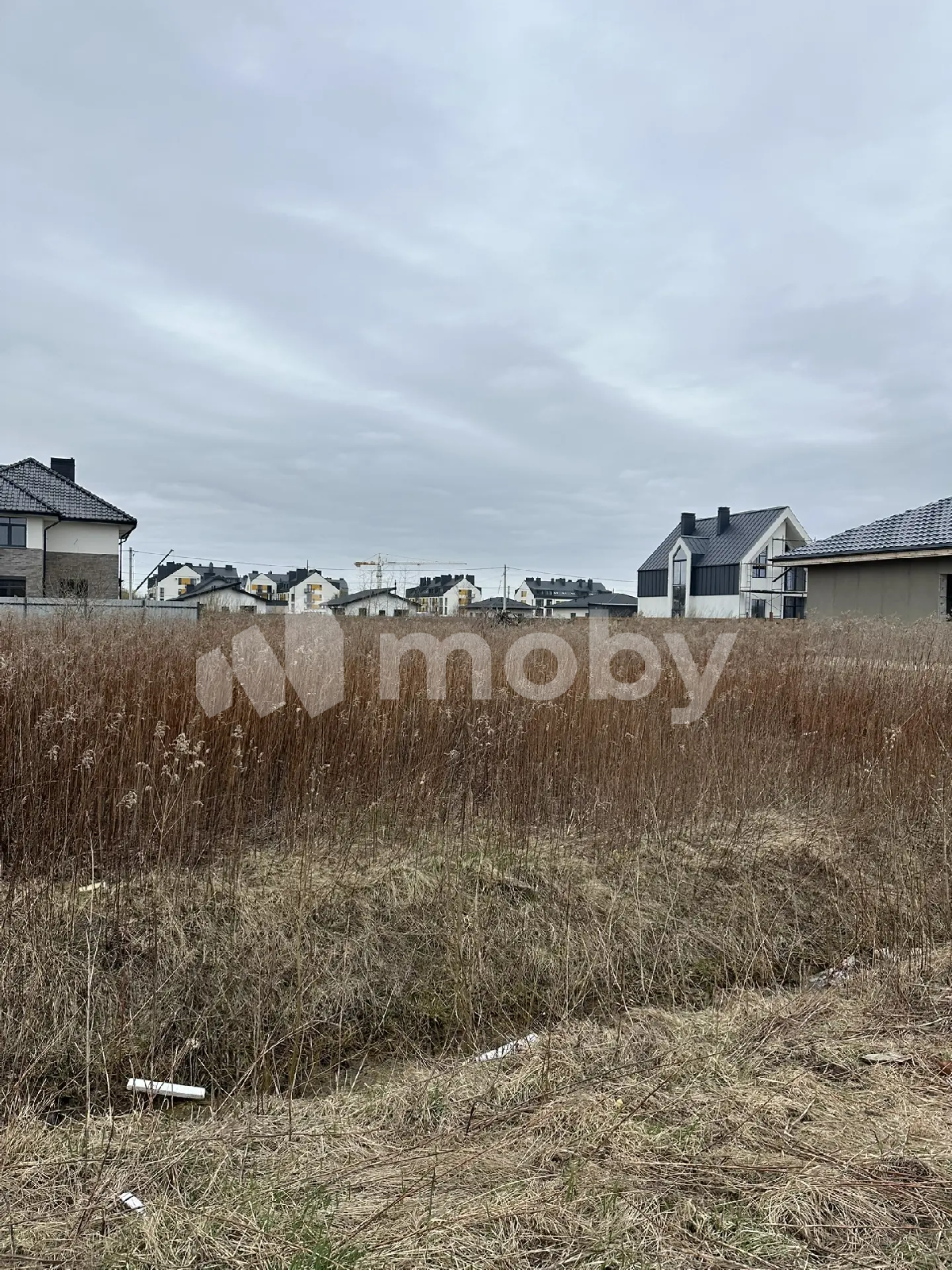 Фото: 9490e538-921a-4c04-866d-3ad0eda29556.png