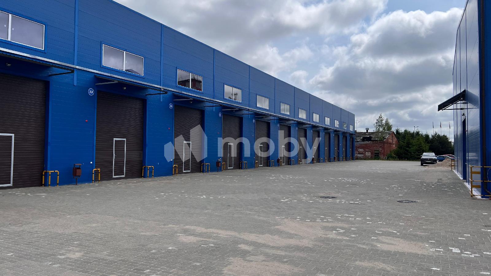 Фото: 953b4520-7052-408d-8750-4768c2a70676.jpeg