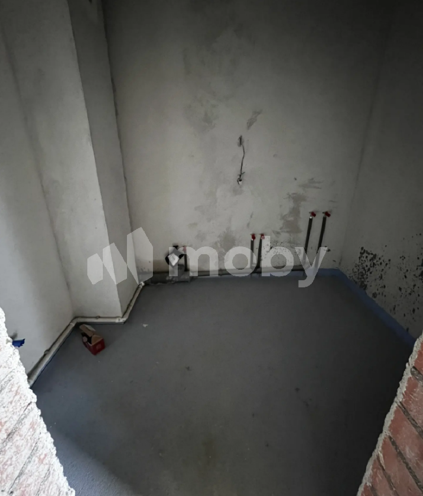 Фото: 956c02db-ed13-4ef5-83ab-cc39525f7ec5.png
