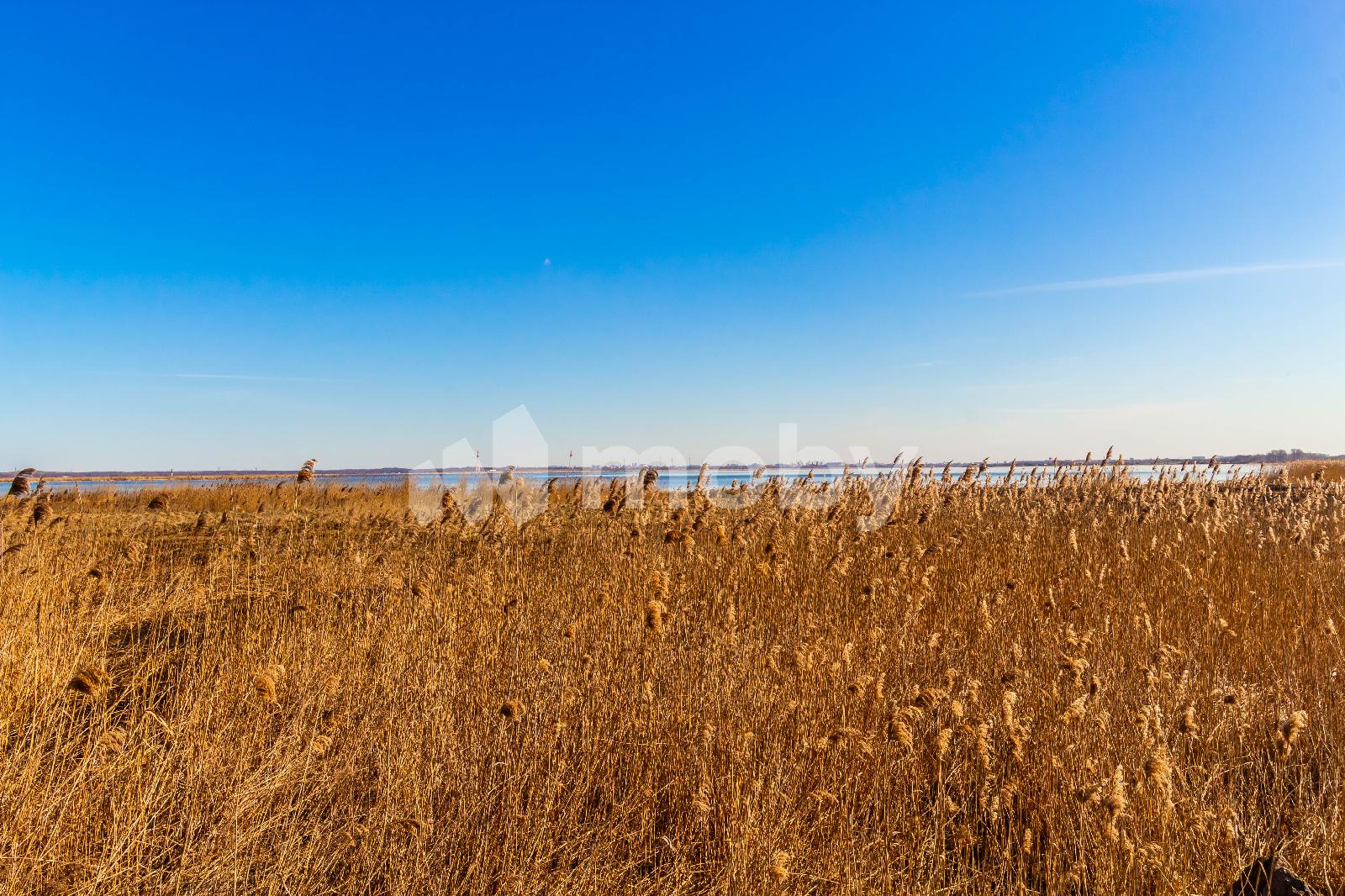 Фото: 959bfae4-5157-4ba7-94c8-ec0f9fd981f5.jpg