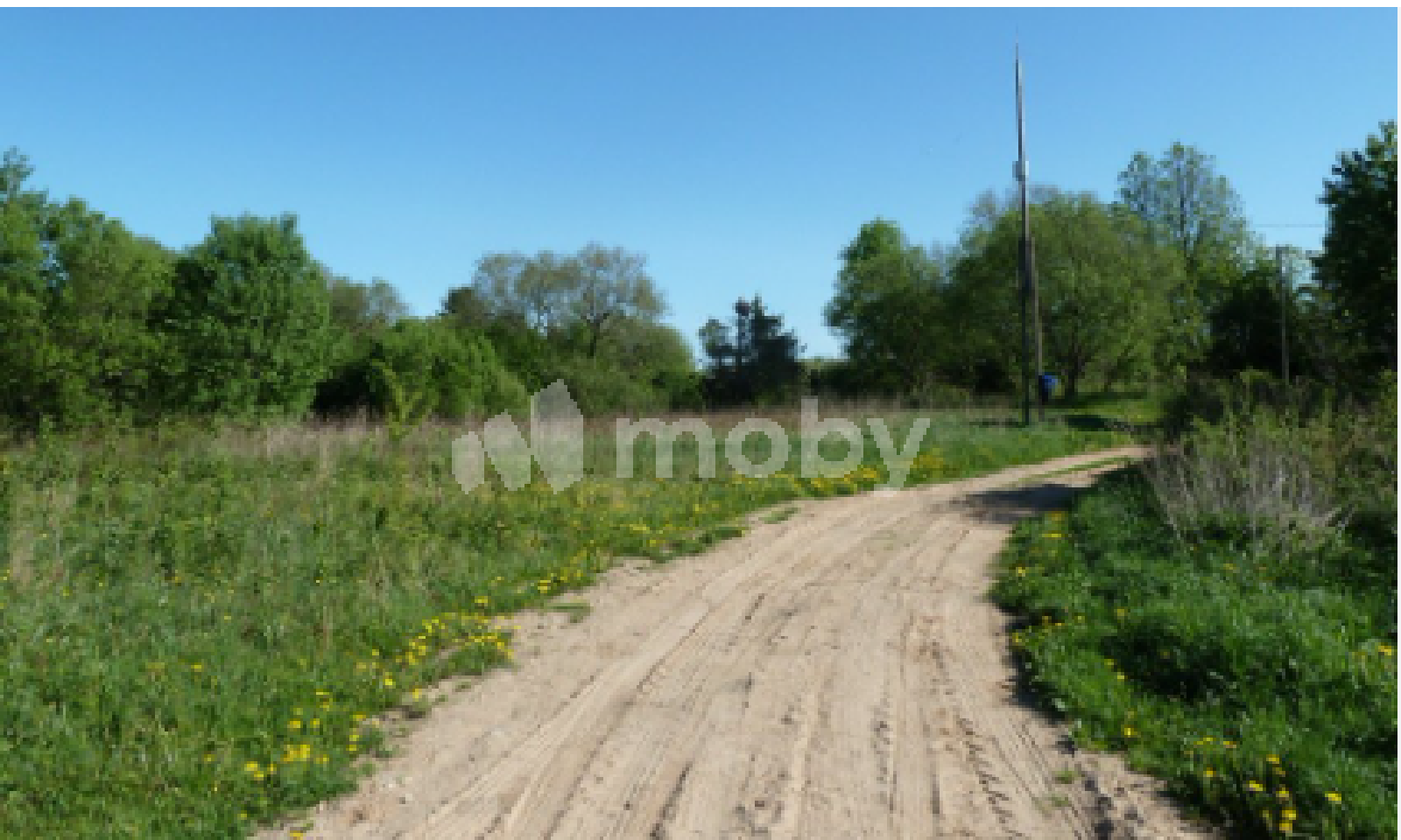 Фото: 95e3b23b-5a0e-4ced-a99c-cf5cdb8c24e2.png