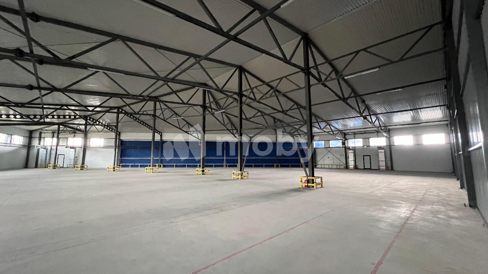 Фото: 9607cc63-fb6f-426c-9c2d-985f07acf563.jpeg