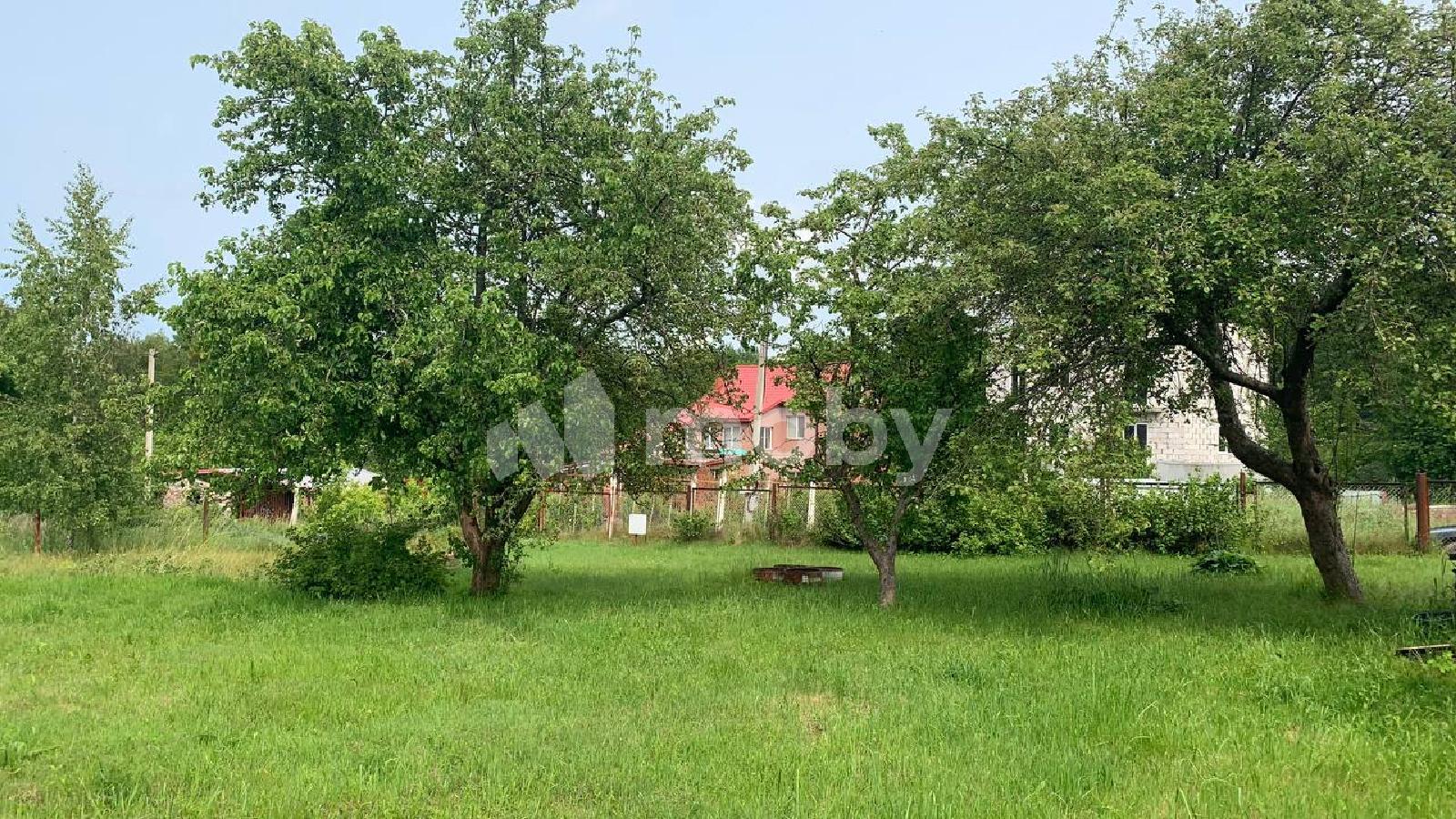 Фото: 961e24e1-b5d0-4579-aafa-7a341d2d9b6c.jpeg