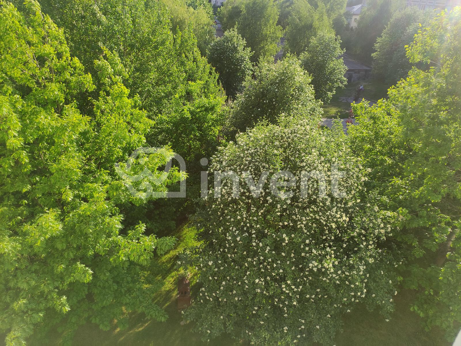 Фото: 96854650-f416-4fd8-ac54-003bf04cb73e.jpg