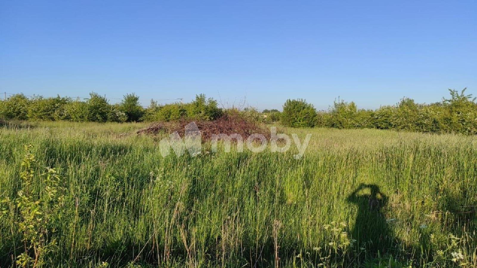 Фото: 9765f2a1-34af-432f-9536-8f26c3e725d0.jpg