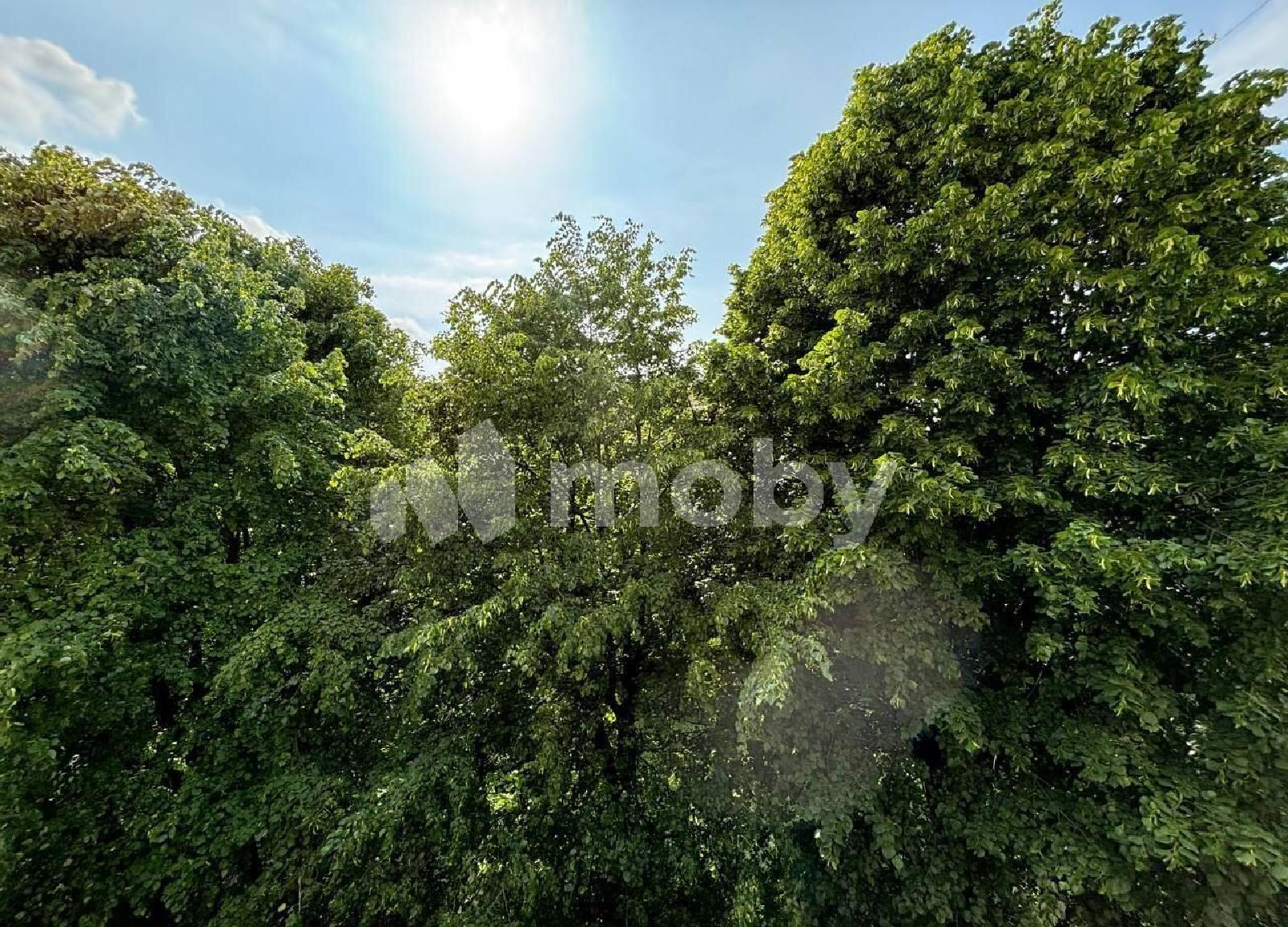 Фото: 97a61dc2-113e-44b1-a1f9-b6917a4f746e.jpg