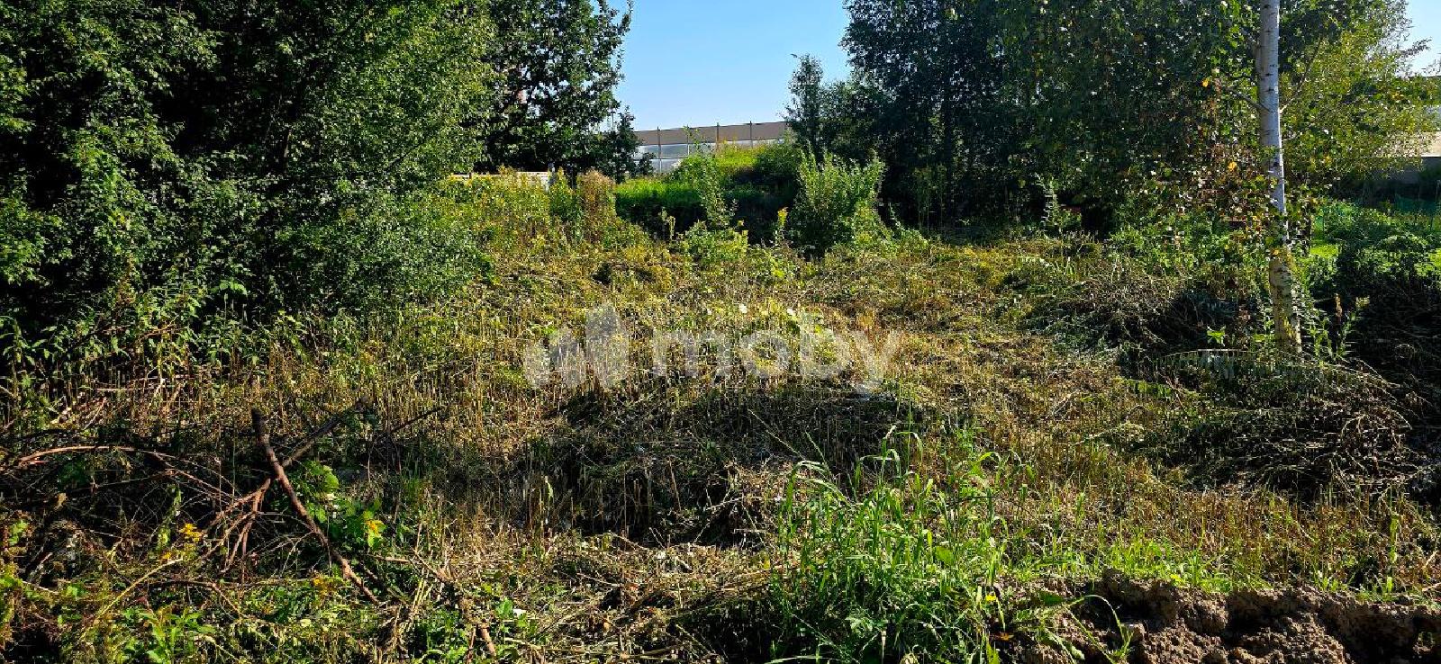 Фото: 97dc7ec6-0cef-4f5d-8a9d-78bca9115886.jpg