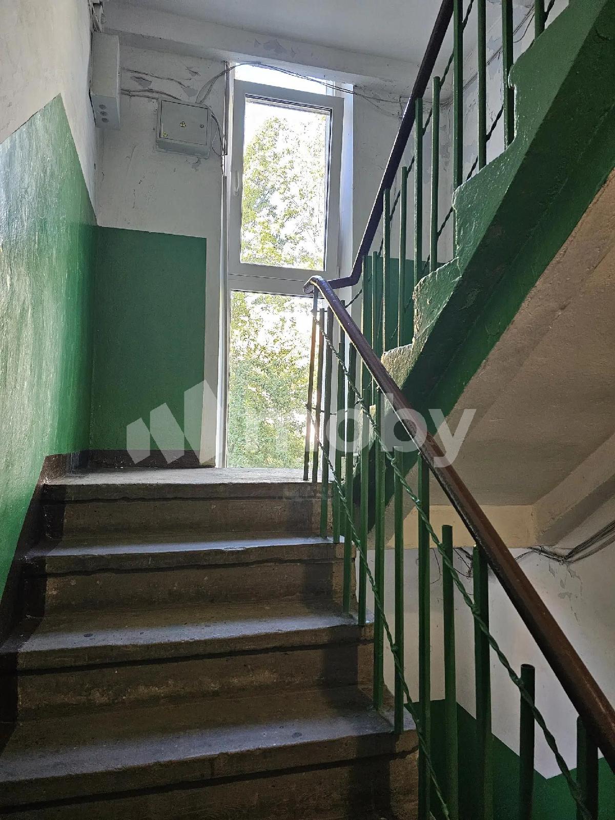 Фото: 982e20da-df47-41ab-bbec-e7ebae658888.jpeg