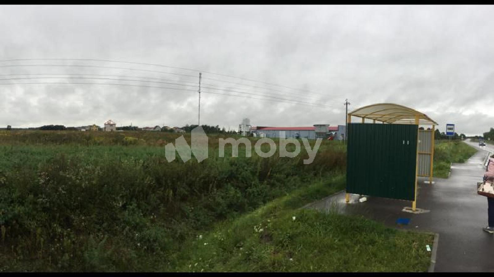 Фото: 98f29354-9c82-4d05-9b76-7027bf6f75c8.jpg