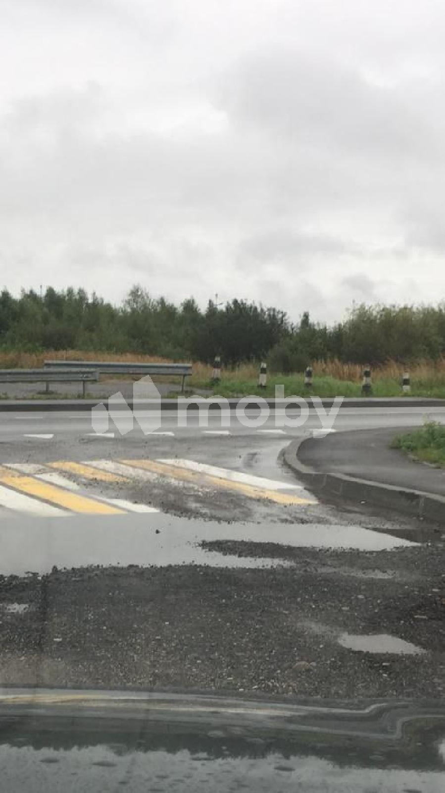 Фото: 99c708df-e979-4ab5-bfcf-e04a5c64d50e.jpg