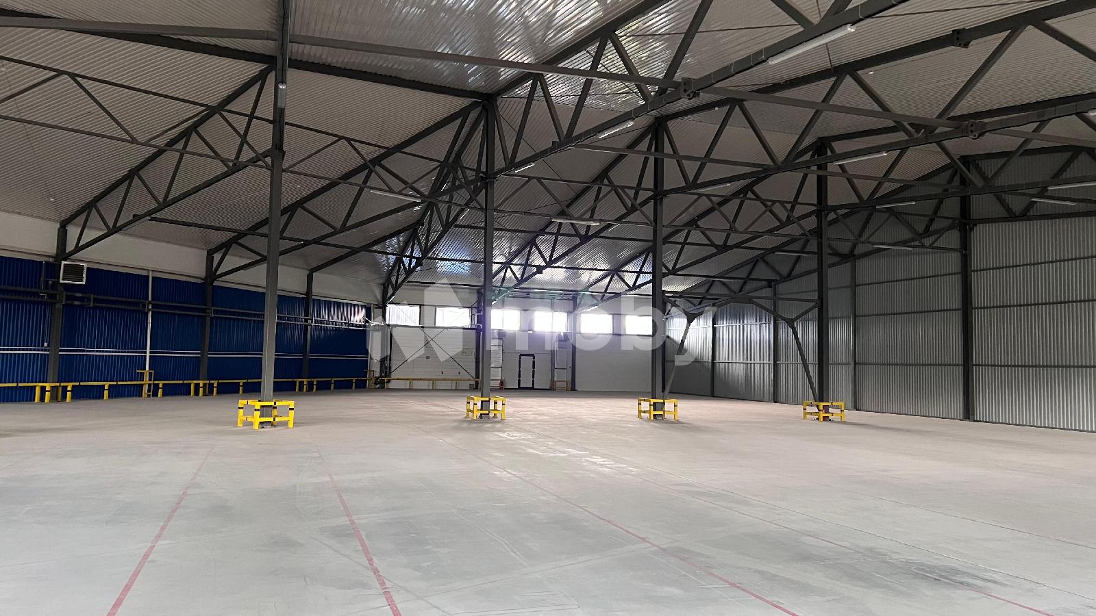 Фото: 99eba9ac-695f-4f39-86e0-79dc12d27412.jpeg