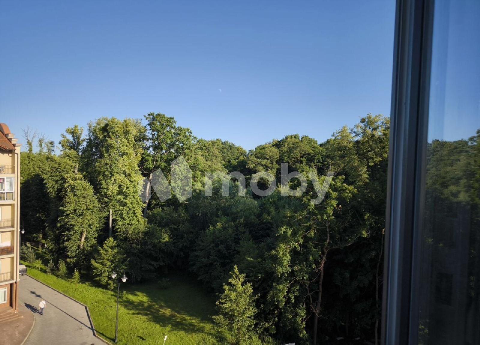 Фото: 9a86ab0e-cd47-4b1d-94c3-c7340c1ece48.jpg