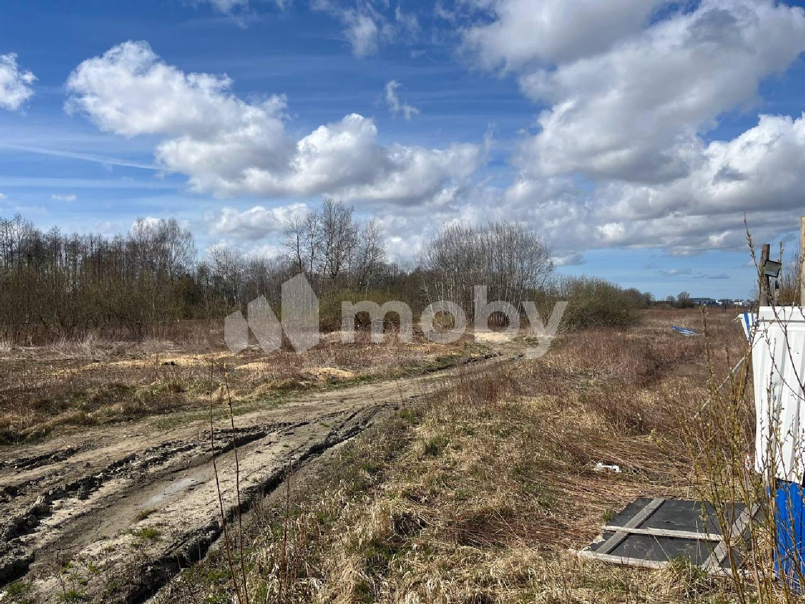 Фото: 9b1ef7e8-1c3a-4f92-9119-b26156e94bcd.jpeg