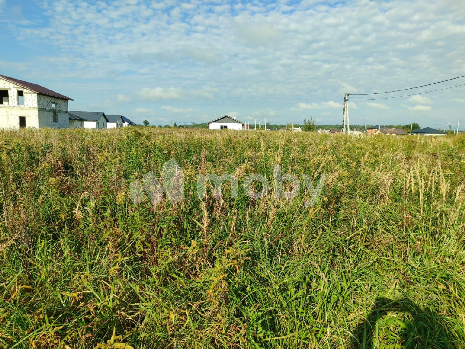 Фото: 9bc04684-5097-42d6-baad-49ceca0241cf.jpeg