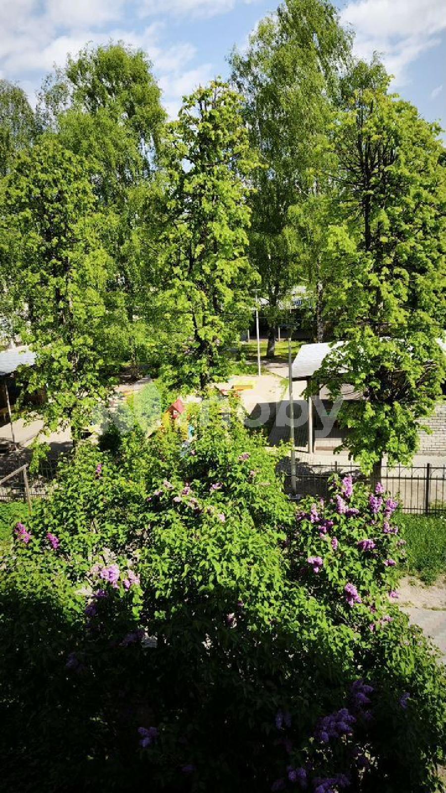 Фото: 9bdb0576-ab88-472d-b33b-fa7af1daaab4.jpg