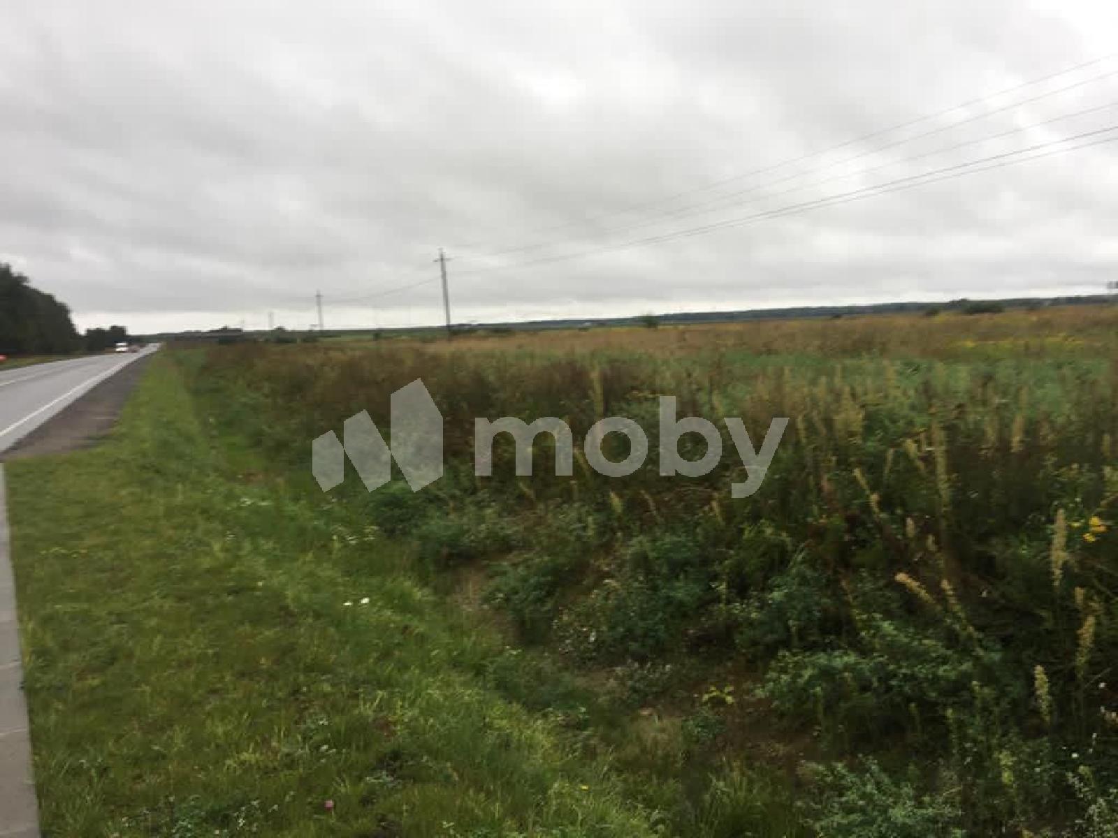 Фото: 9c2dc8a4-c77c-4acb-9e4e-adbe2f9a6ec5.jpg