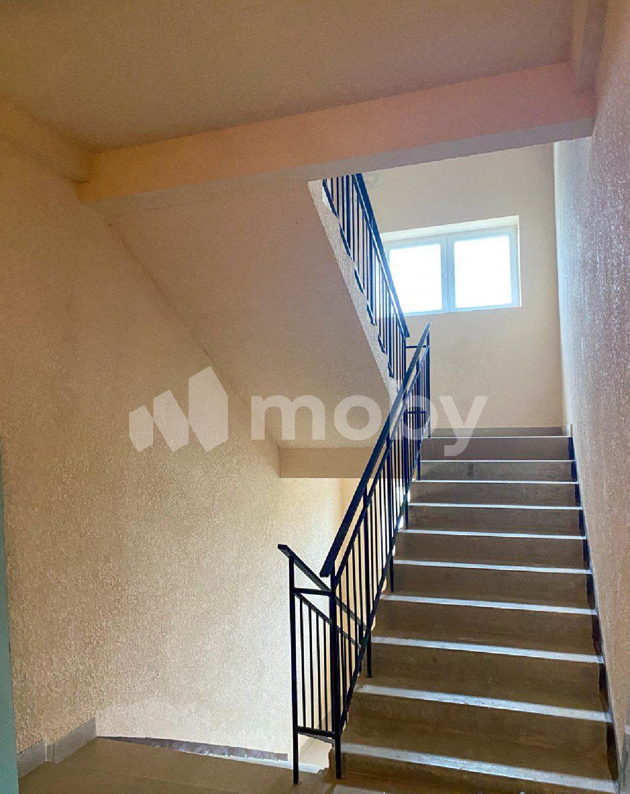 Фото: 9ccaf82b-6556-4806-8d74-79379f49ae0b.jpg