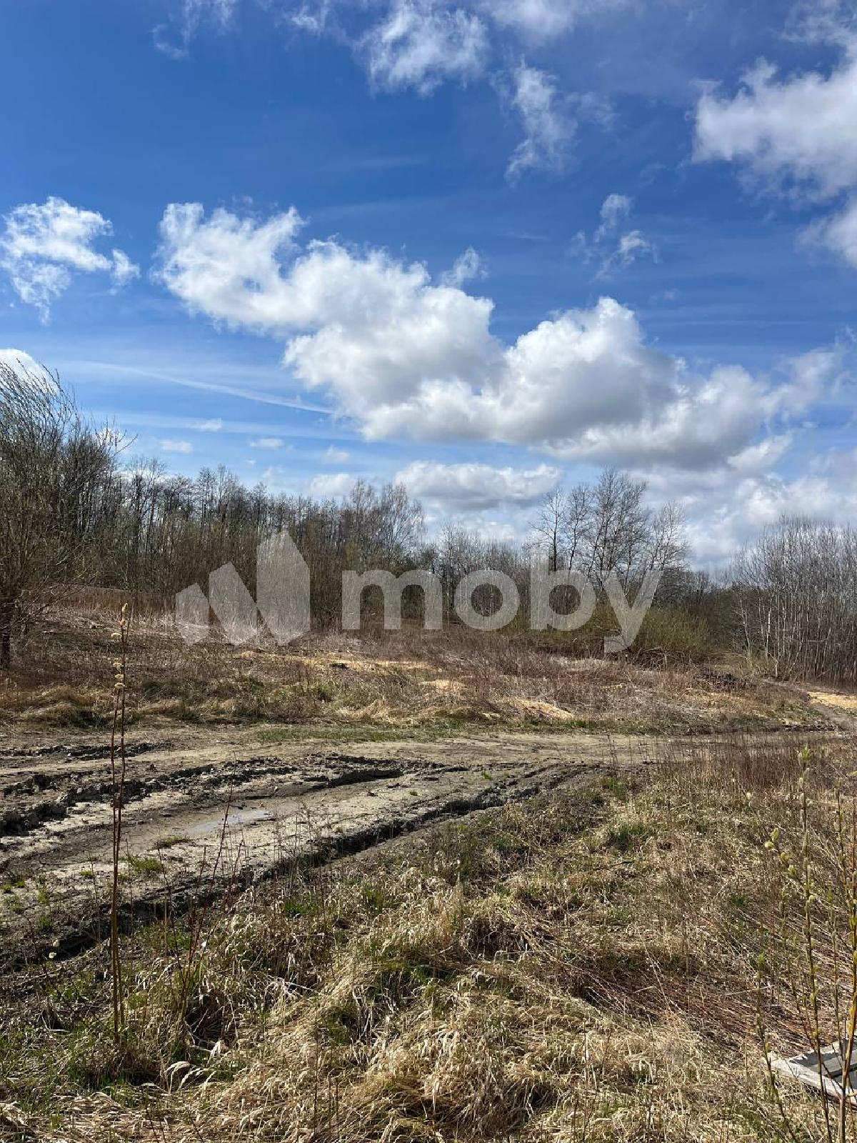 Фото: 9d9450b6-3dde-4d40-b560-38d181acbb06.jpeg