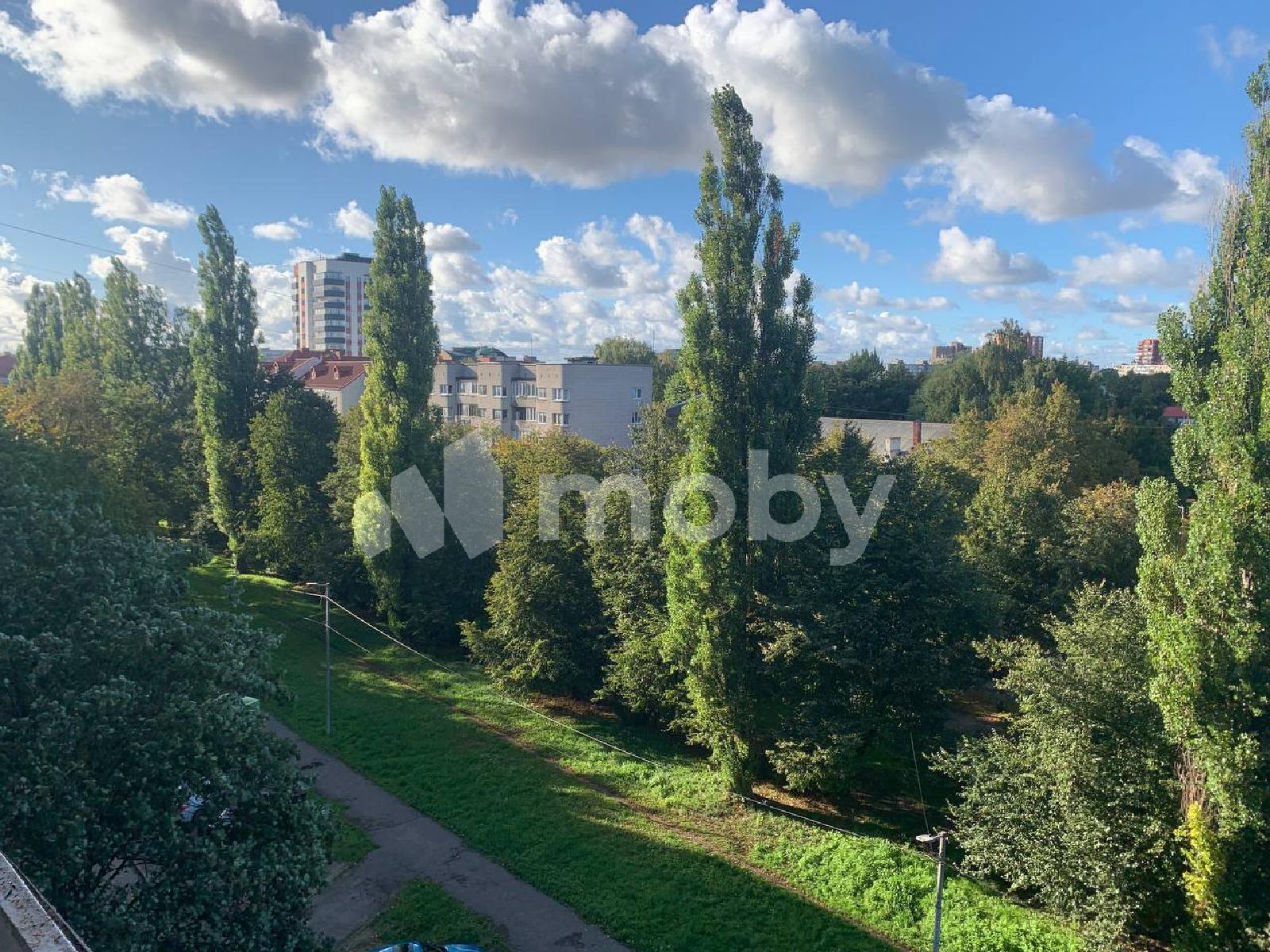 Фото: 9e1335b8-f9a5-4914-b0a3-cd0f6cba2d1c.jpg