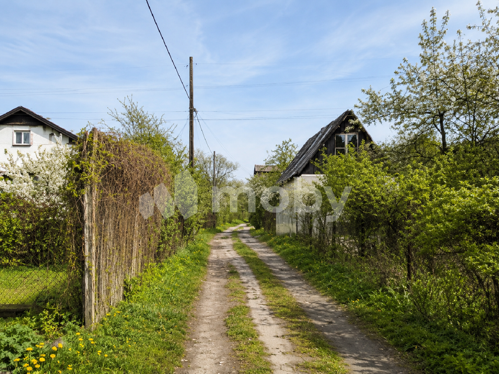 Фото: 9e5928c7-e321-4d8b-8141-2c889249d640.png