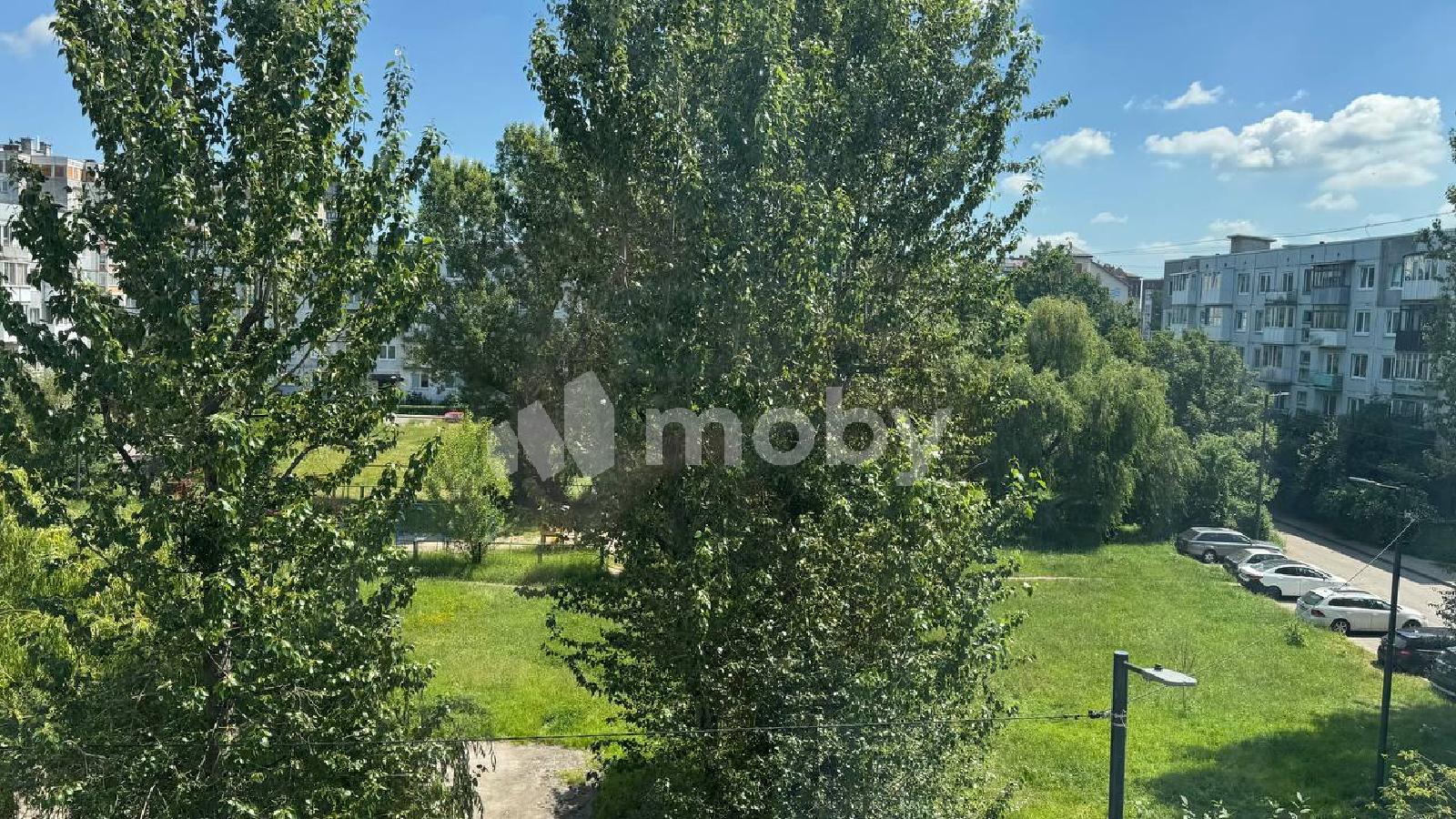 Фото: 9eaa94ee-5009-4124-bfcd-229115437eda.jpg