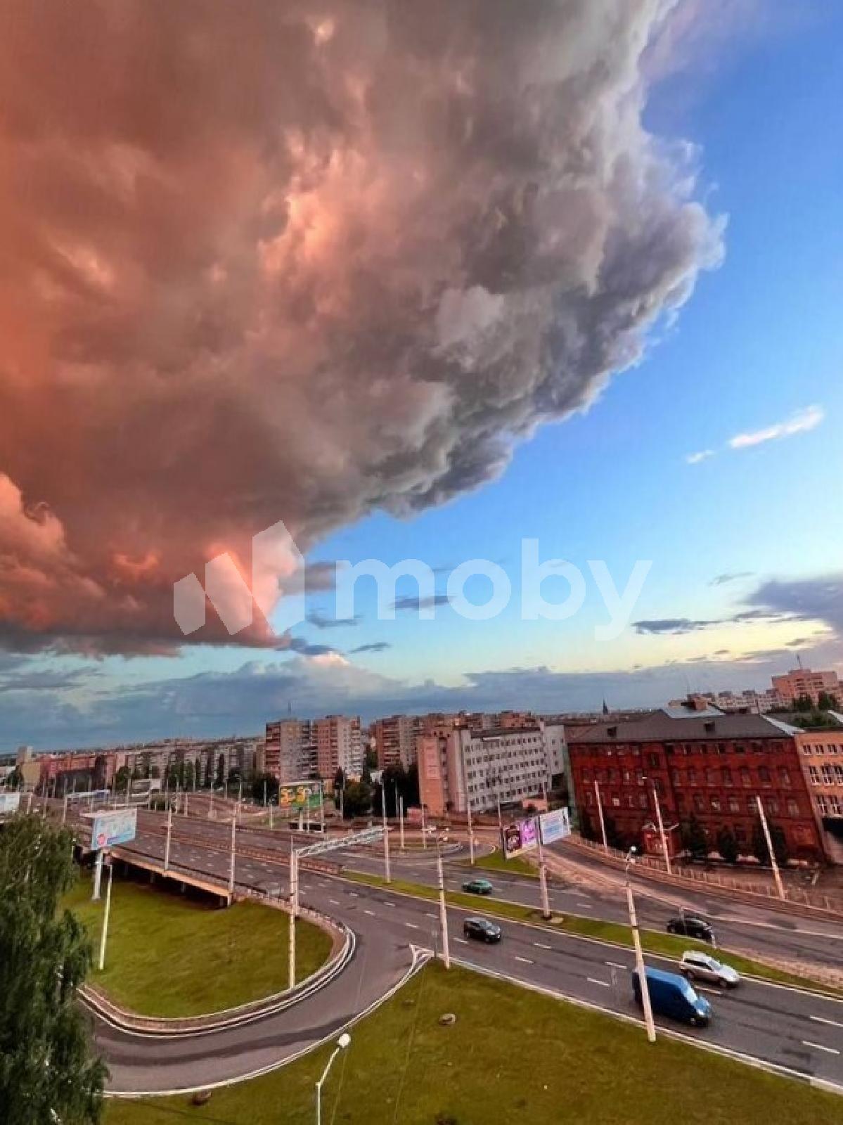 Фото: 9ec1147d-a44e-440c-b5cc-46bbe8c91a0e.jpg