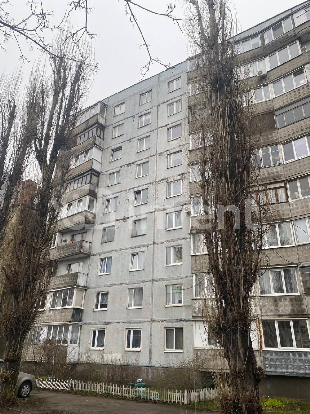 Фото: a00db98a-2ac6-499b-b8c5-e70c1b510a91.jpg