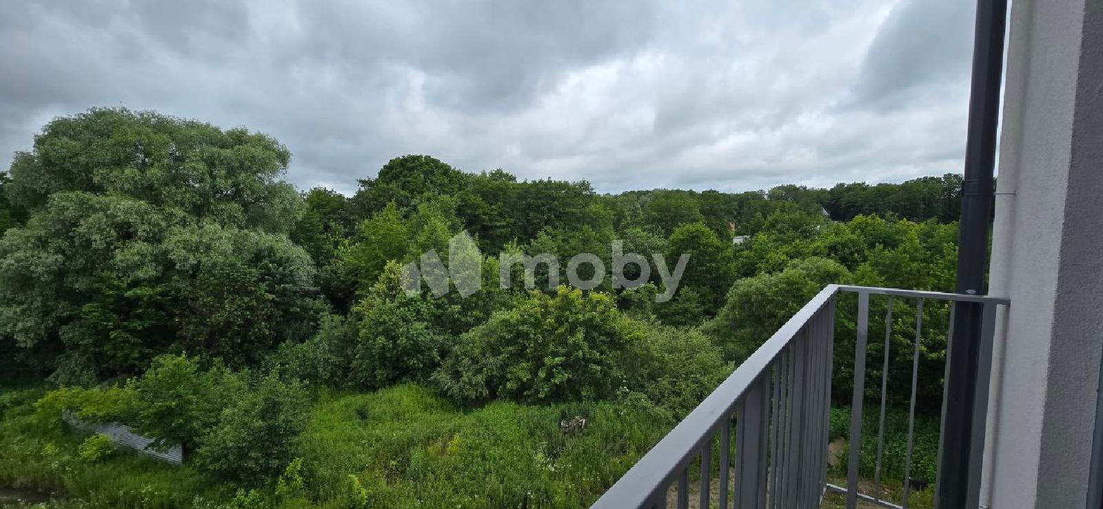 Фото: a02cbacc-5a5b-4f53-b818-3505b953e59a.jpg