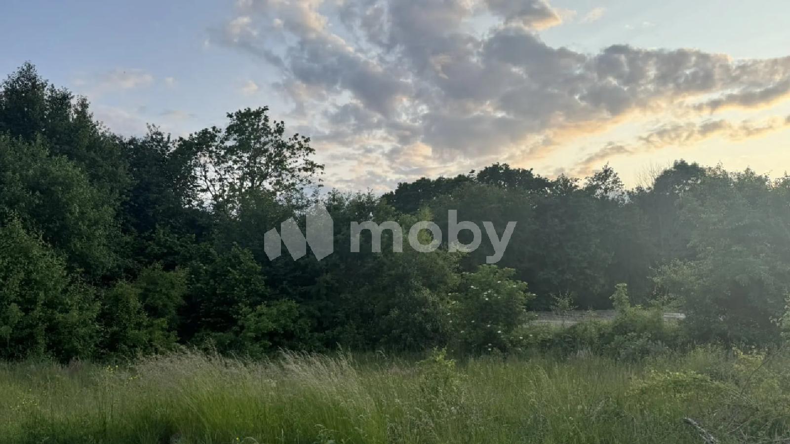 Фото: a0914ad7-869b-4a4c-b2ff-78b8769af9fe.jpg