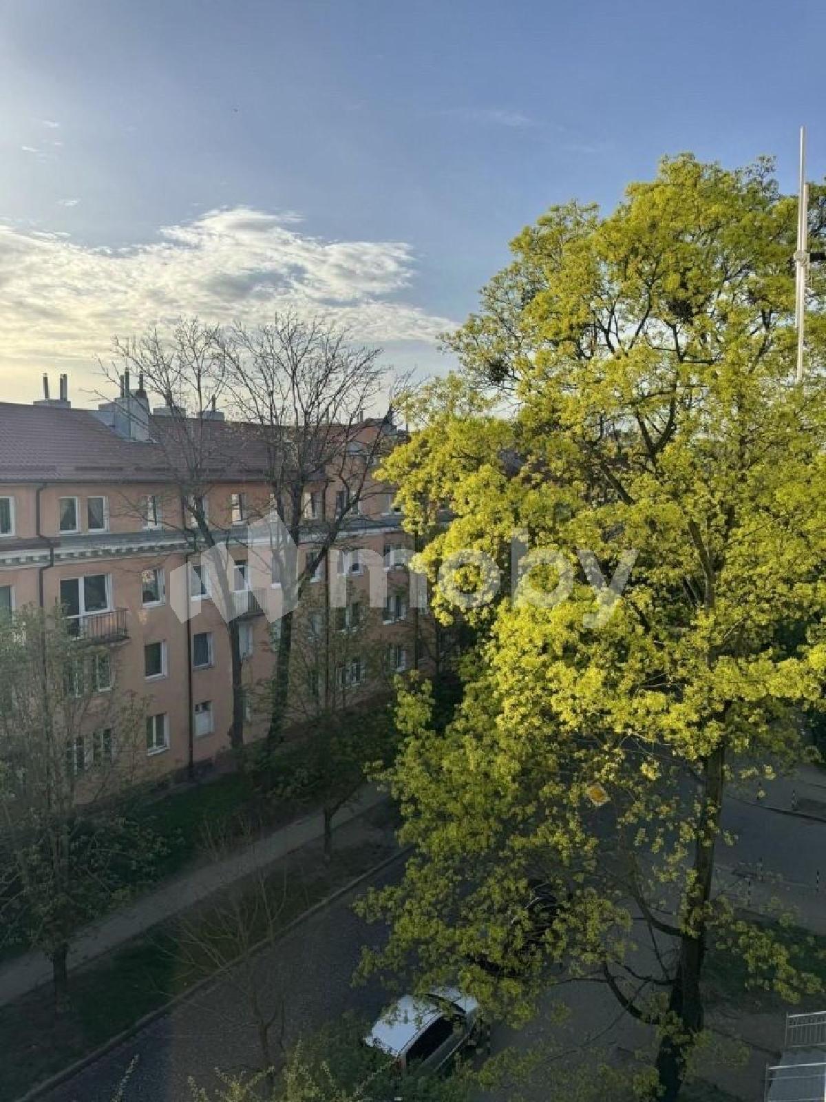 Фото: a09bd5d1-d7e2-4c9e-8b63-c90fb8a9bf04.jpg
