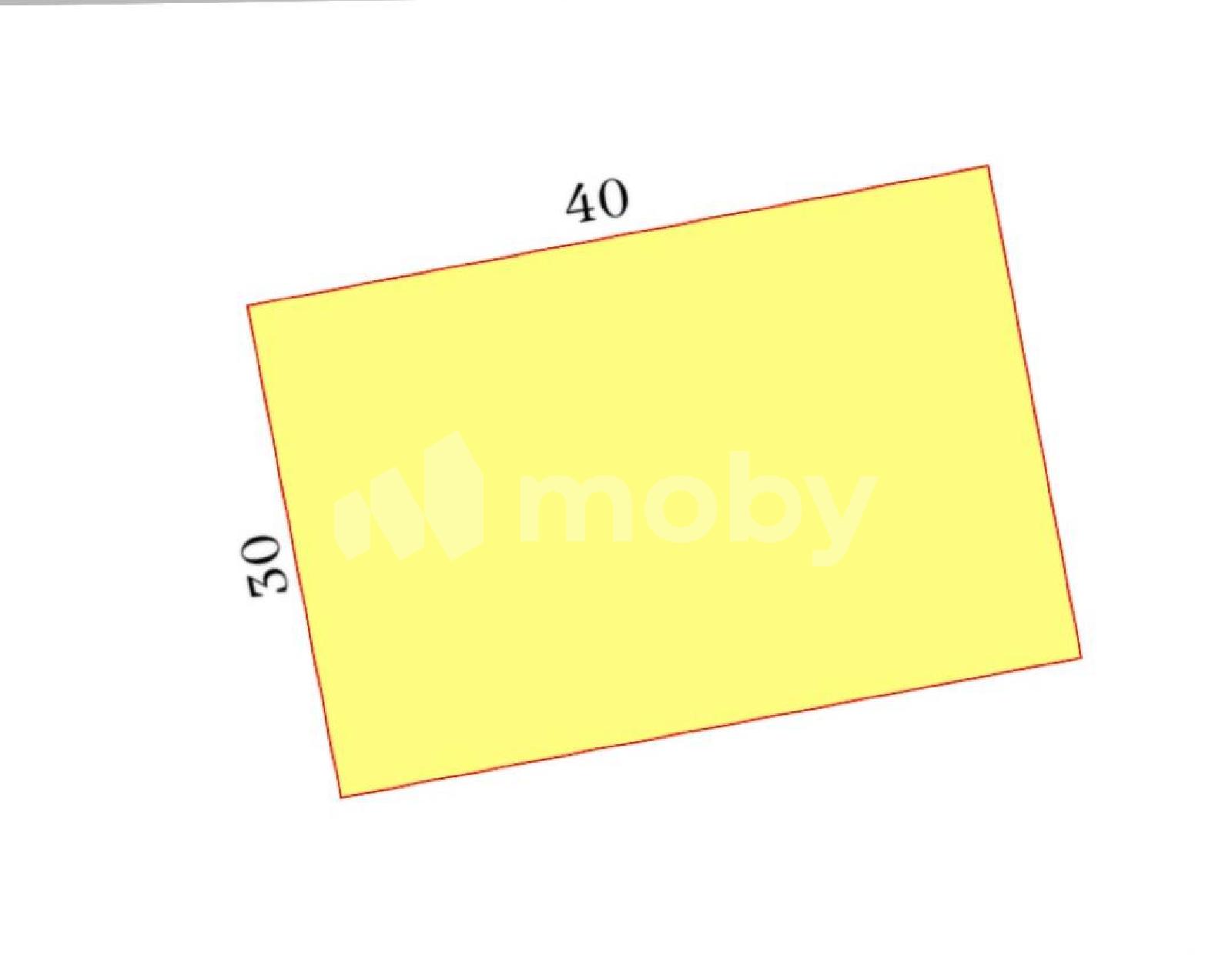 Фото: a0bbe88e-2e98-4e70-a867-62e37f9cf3e2.jpg