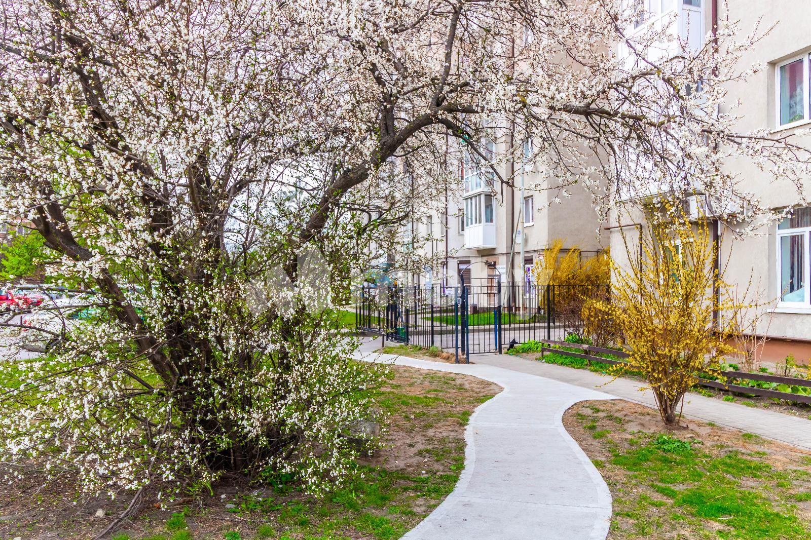 Фото: a11b7d85-40c3-4628-a1d9-9bccc7154745.jpg