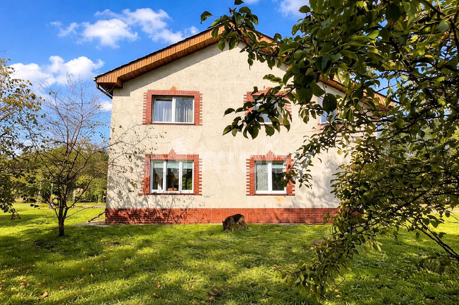 Фото: a16a4325-a716-4ccf-b831-609fbf5e366d.jpeg