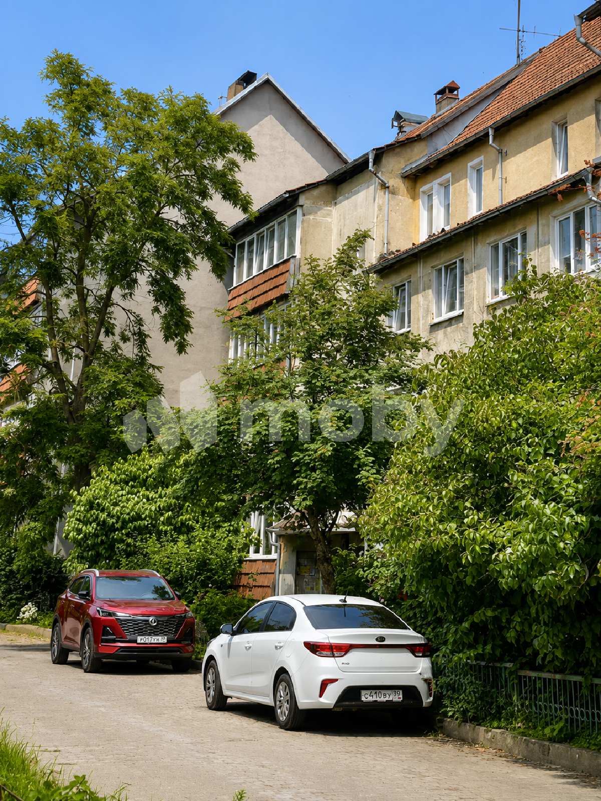 Фото: a16f2fe5-909f-4381-b536-4ff8e155e090.png