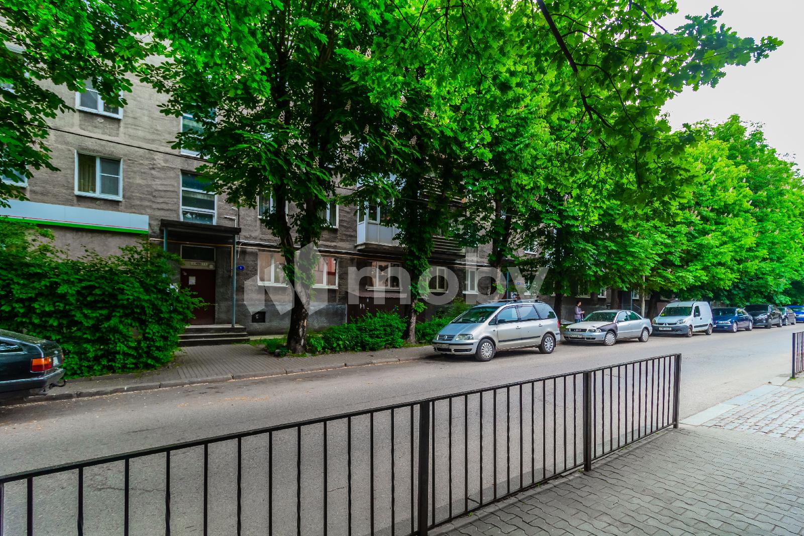 Фото: a191e04d-7331-4f0f-9386-498b9191cc95.jpg